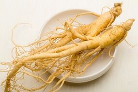 Root ginseng to increase potential