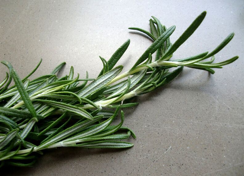 Rosemary to increase the effectiveness